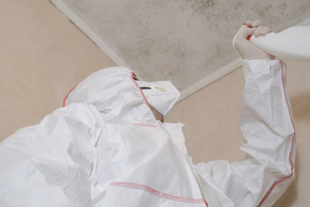 Best Mold Damage Repair  in Ashland City, TN