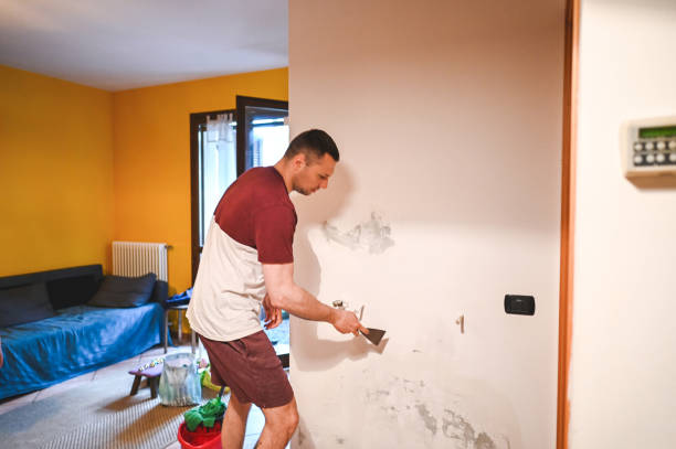 Best Crawl Space Mold Removal  in Ashland City, TN
